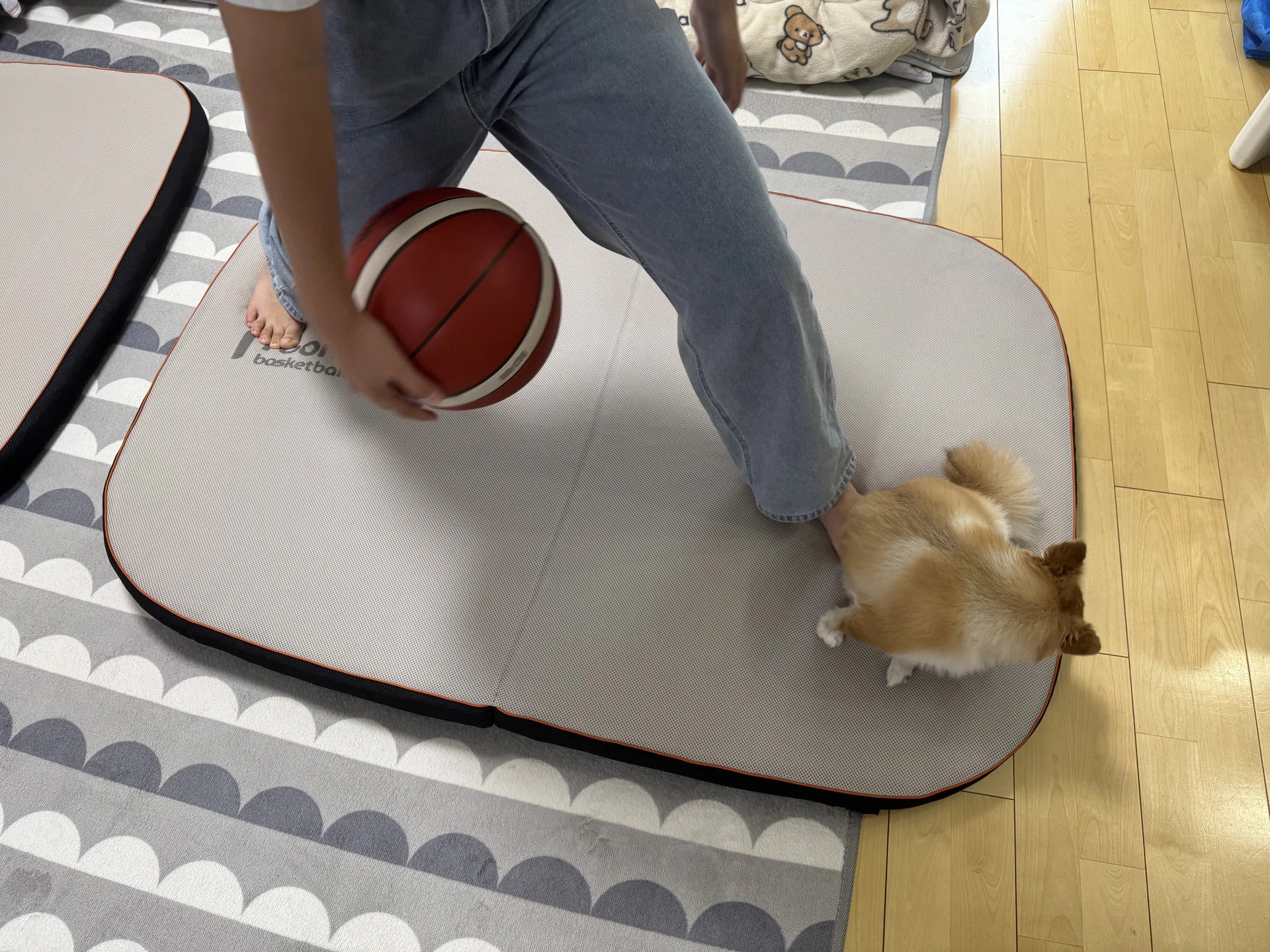 室内バスケドリブル練習用に roombasketball ドリブルセット Pro も